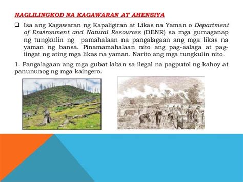 ano ang ibig sabihin ng denr|Kagawaran ng Kapaligiran at Likas na Yaman .